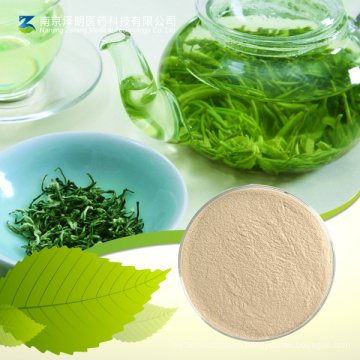 Epigallocatechin Gallate Powder Catechin EGCG Green Tea Extract